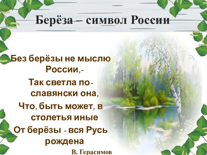 Берёза – символ России Без берёзы не мыслю России,- Так светла по-славянски она,