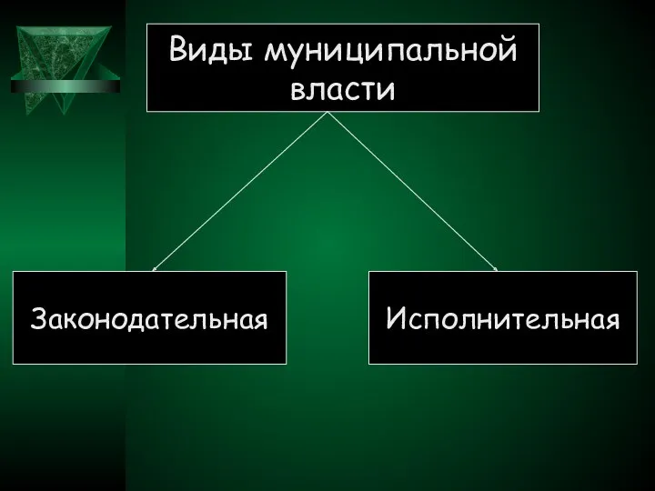 Виды муниципальной власти Законодательная Исполнительная