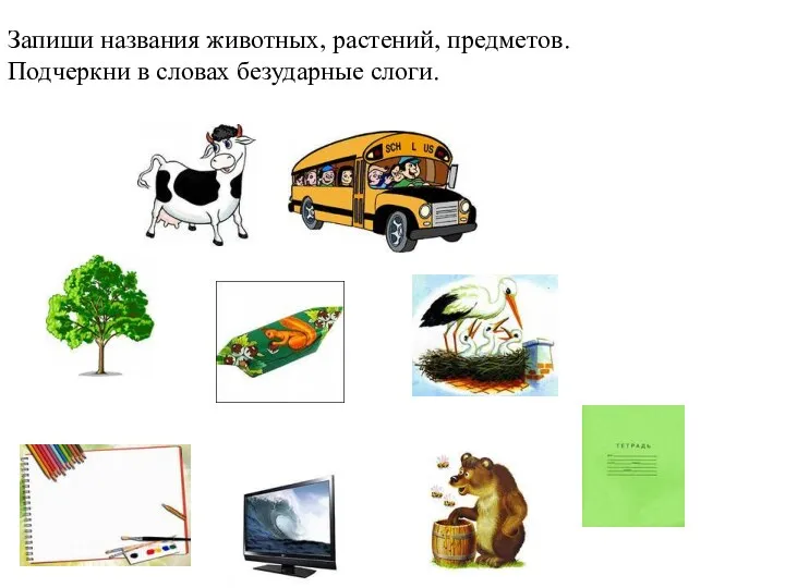 Запиши названия животных, растений, предметов. Подчеркни в словах безударные слоги.