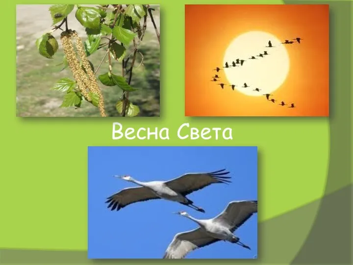 Весна Света