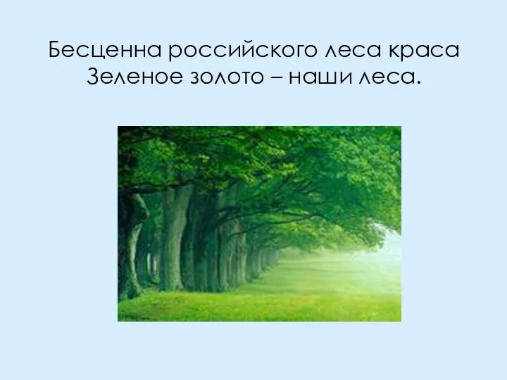 Бесценна российского леса краса Зеленое золото – наши леса.