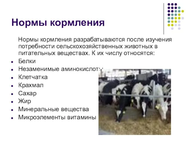 Нормы кормления Нормы кормления разрабатываются после изучения потребности сельскохозяйственных животных