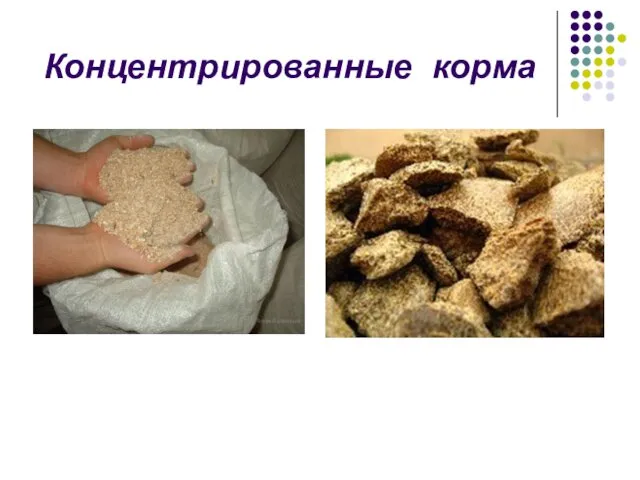 Концентрированные корма