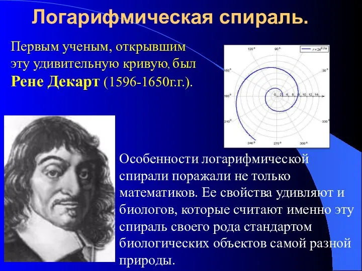Логарифмическая спираль. Первым ученым, открывшим эту удивительную кривую, был Рене Декарт (1596-1650г.г.). Особенности