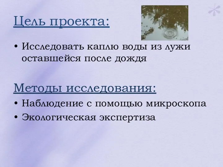 Цель проекта: Исследовать каплю воды из лужи оставшейся после дождя