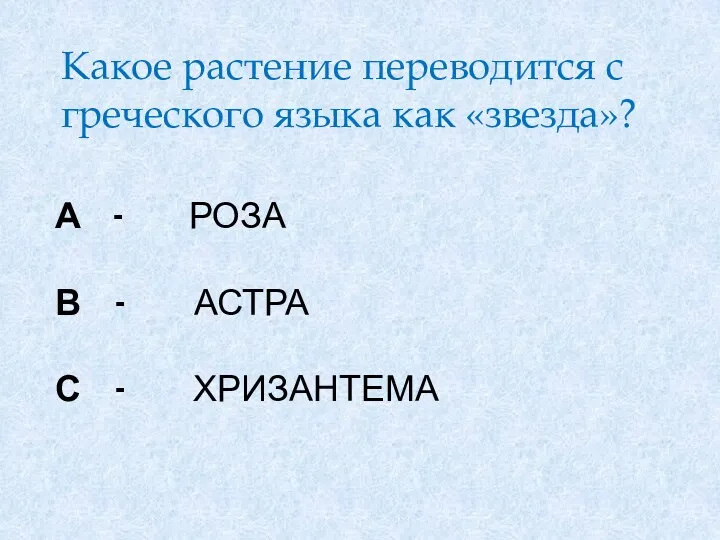 А - роза В - астра С - хризантема Какое