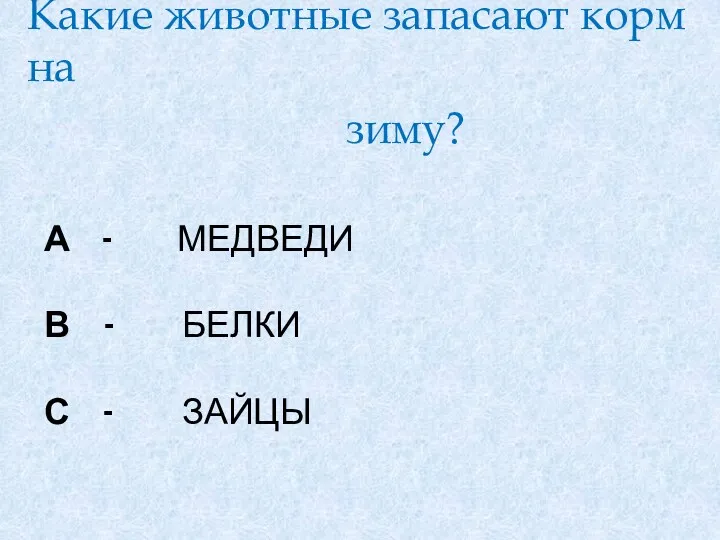 А - медведи В - белки С - зайцы Какие животные запасают корм на зиму?