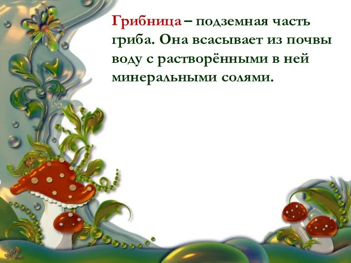 Грибница – подземная часть гриба. Она всасывает из почвы воду с растворёнными в ней минеральными солями.