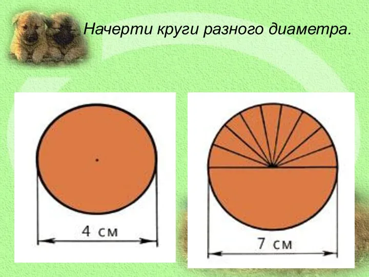 Начерти круги разного диаметра.