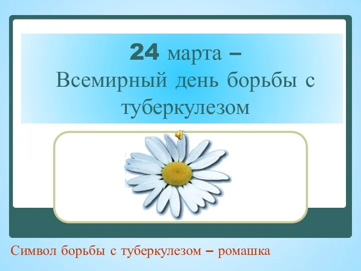 24 марта – Всемирный день борьбы с туберкулезом Символ борьбы с туберкулезом – ромашка