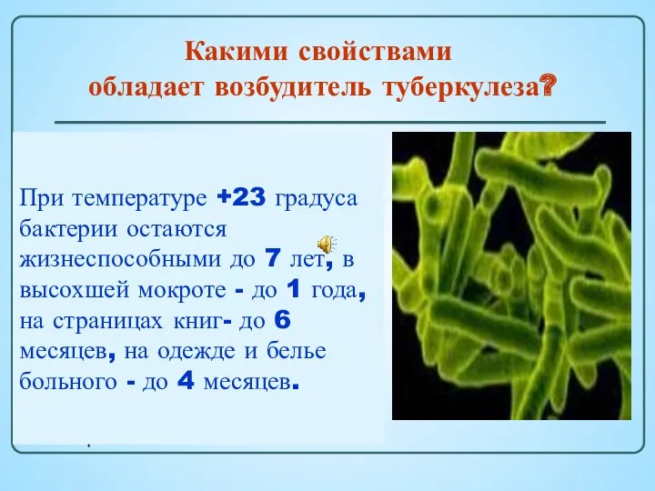 В отличие от других микробов, микобактерия туберкулеза чрезвычайно живуча: отлично