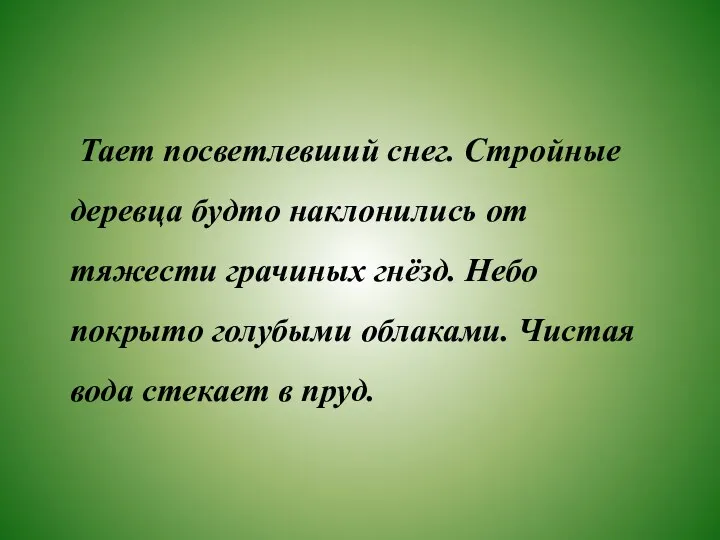 Тает посветлевший снег. Стройные деревца будто наклонились от тяжести грачиных