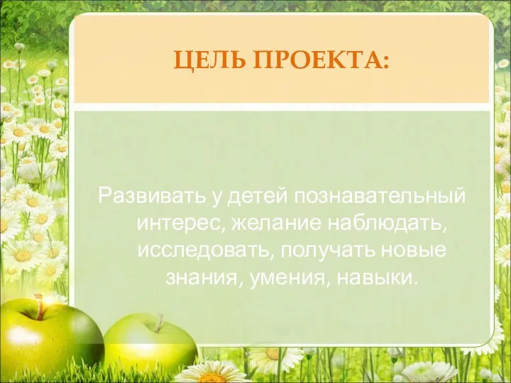 ЦЕЛЬ ПРОЕКТА: Развивать у детей познавательный интерес, желание наблюдать, исследовать, получать новые знания, умения, навыки.