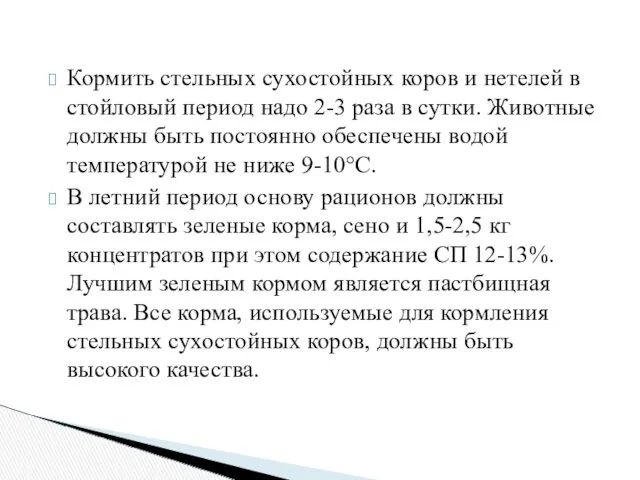 Кормить стельных сухостойных коров и нетелей в стойловый период надо