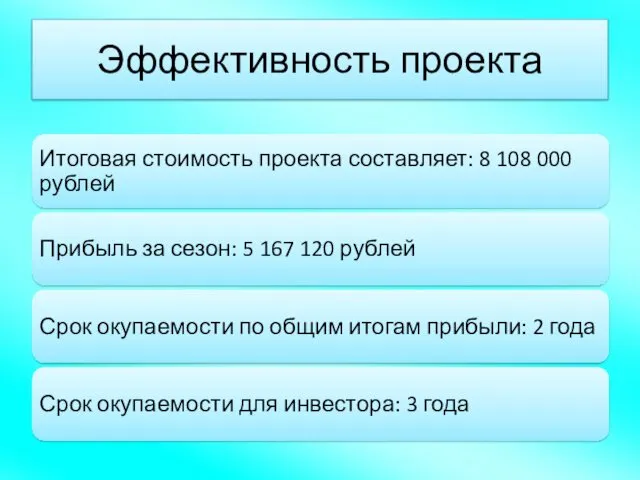 Эффективность проекта