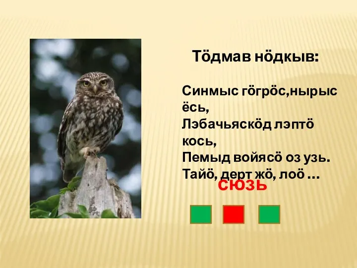 Тöдмав нöдкыв: Синмыс гöгрöс,нырыс ёсь, Лэбачьяскöд лэптö кось, Пемыд войясö