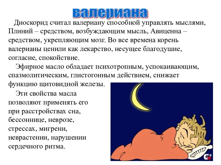 валериана Диоскорид считал валериану способной управлять мыслями, Плиний – средством,