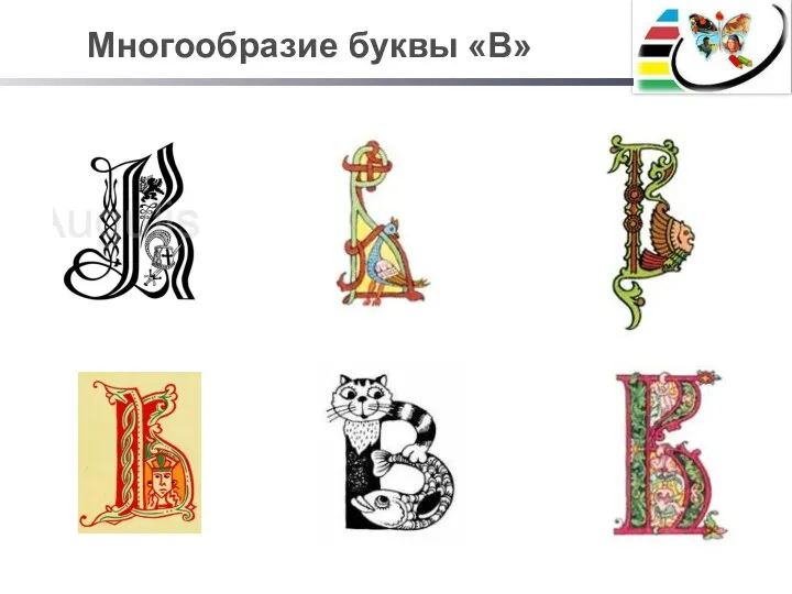 Многообразие буквы «В»