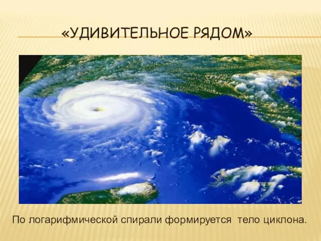 «УДИВИТЕЛЬНОЕ РЯДОМ» По логарифмической спирали формируется тело циклона.