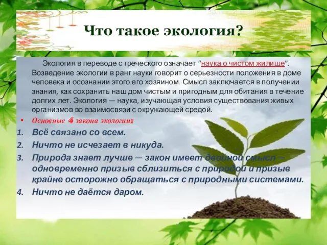 Что такое экология? Экология в переводе с греческого означает “наука