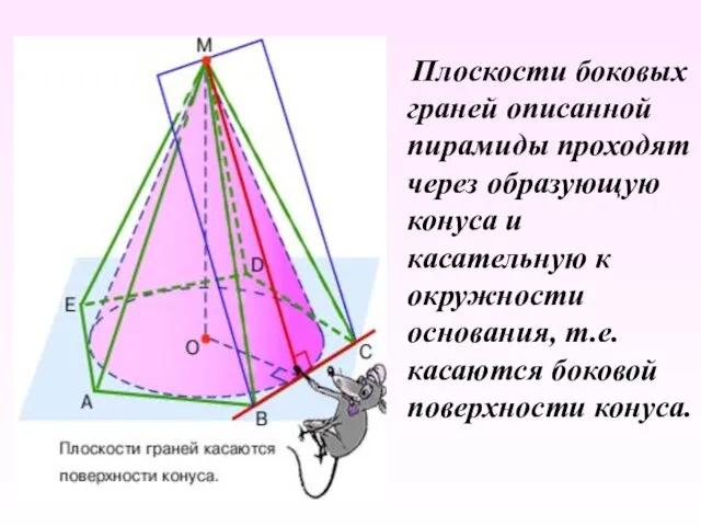 Плоскости боковых граней описанной пирамиды проходят через образующую конуса и касательную к окружности