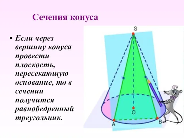 Сечения конуса Если через вершину конуса провести плоскость, пересекающую основание, то в сечении получится равнобедренный треугольник.