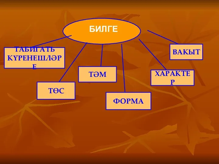 ТАБИГАТЬ КҮРЕНЕШЛӘРЕ ТӨС ТӘМ ВАКЫТ ХАРАКТЕР ФОРМА БИЛГЕ