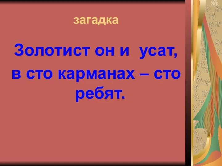 загадка Золотист он и усат, в сто карманах – сто ребят.