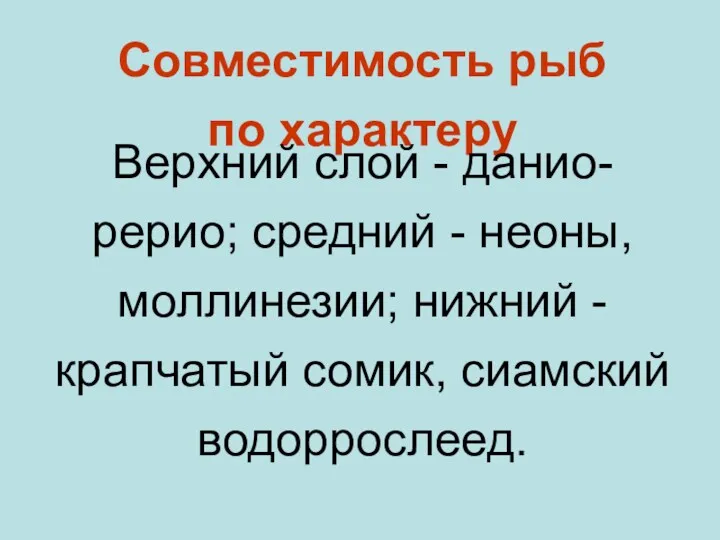 Совместимость рыб по характеру Верхний слой - данио-рерио; средний -