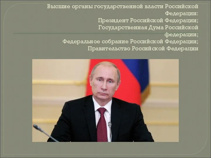 Высшие органы государственной власти Российской Федерации: Президент Российской Федерации; Государственная