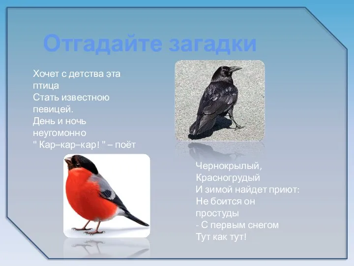 Отгадайте загадки Хочет с детства эта птица Стать известною певицей. День и ночь