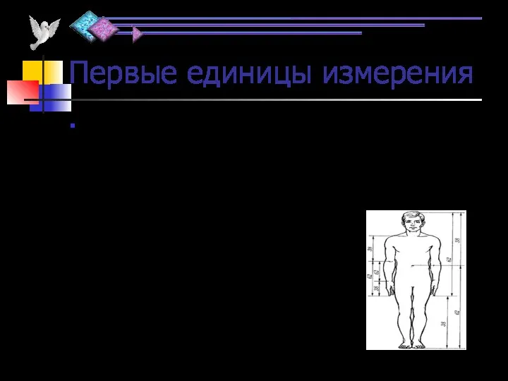 Первые единицы измерения Первые единицы длины как в России, так