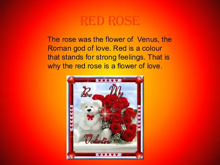 RED ROSE The rose was the flower of Venus, the Roman god of