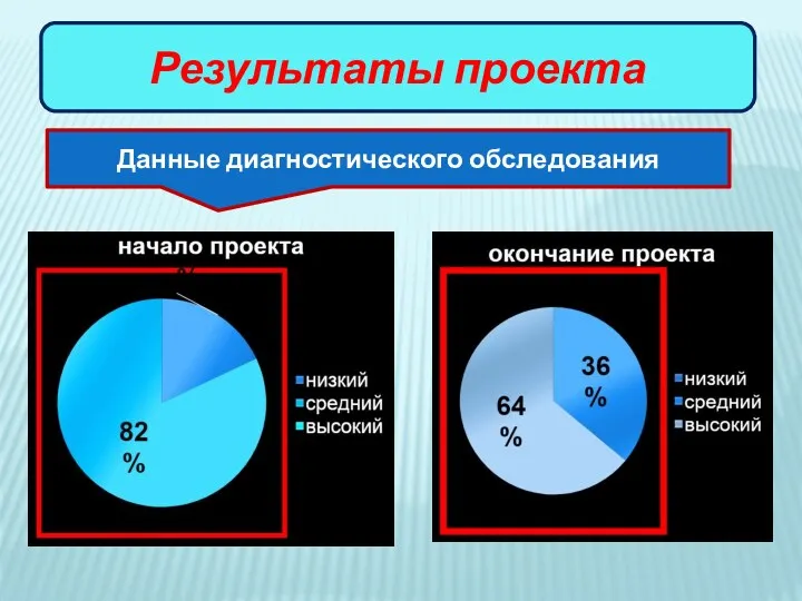 Результаты проекта Данные диагностического обследования