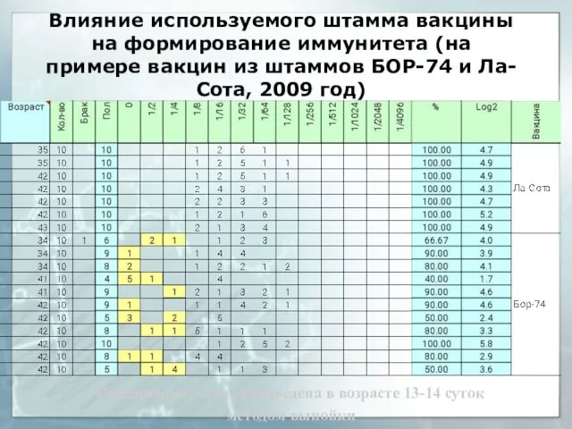 Влияние используемого штамма вакцины на формирование иммунитета (на примере вакцин