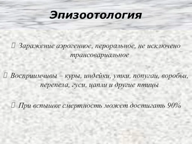 Эпизоотология Заражение аэрогенное, пероральное, не исключено трансовариальное Восприимчивы – куры,