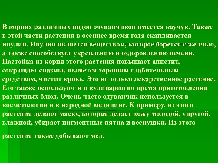 В корнях различных видов одуванчиков имеется каучук. Также в этой