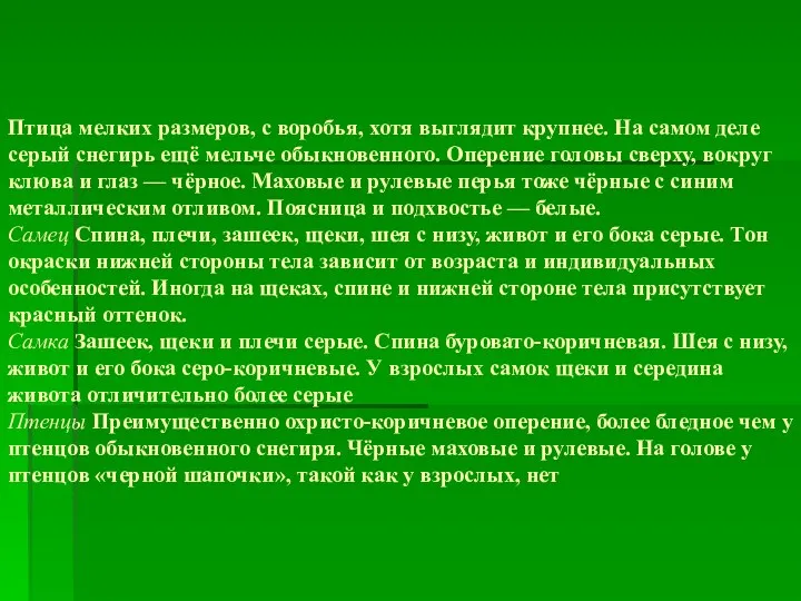 Птица мелких размеров, с воробья, хотя выглядит крупнее. На самом