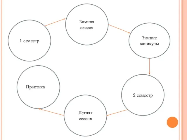 1 семестр Летняя сессия Зимние каникулы 2 семестр Зимняя сессия Практика