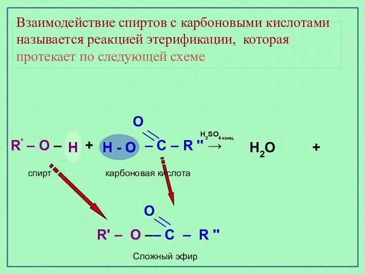 Взаимодействие спиртов с карбоновыми кислотами называется реакцией этерификации, которая протекает по следующей схеме