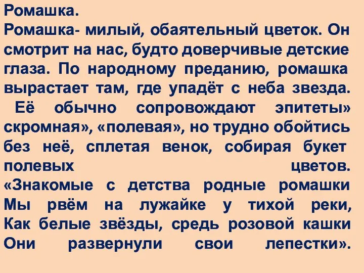 Ромашка. Ромашка- милый, обаятельный цветок. Он смотрит на нас, будто