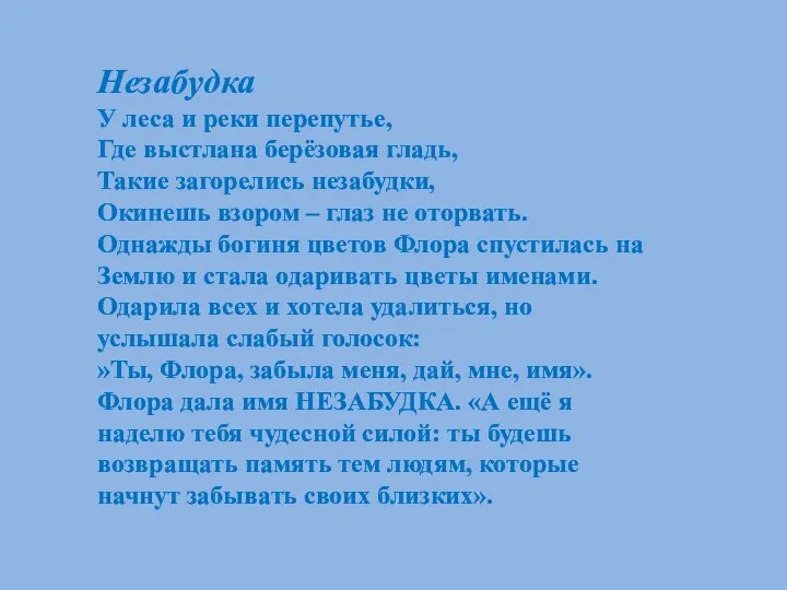 Незабудка У леса и реки перепутье, Где выстлана берёзовая гладь,