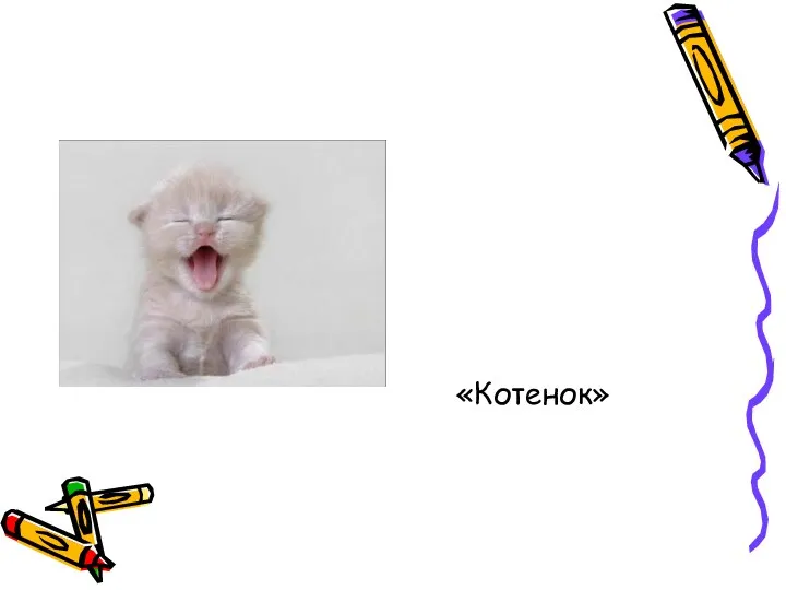 «Котенок»