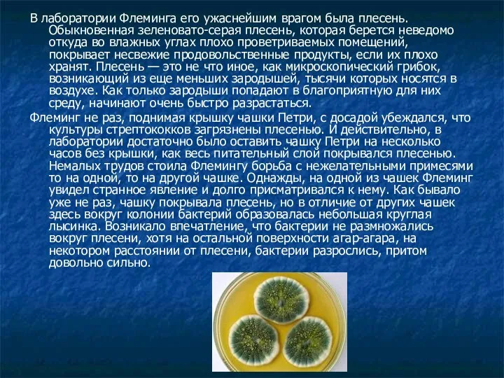 В лаборатории Флеминга его ужаснейшим врагом была плесень. Обыкновенная зеленовато-серая