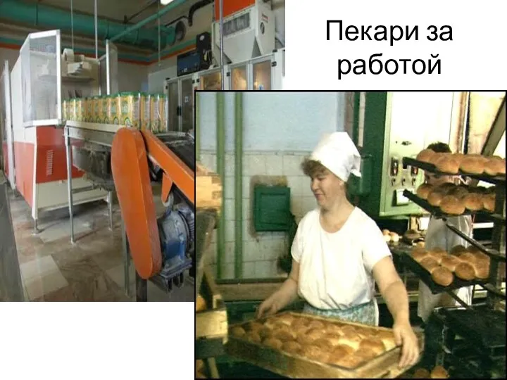 Пекари за работой