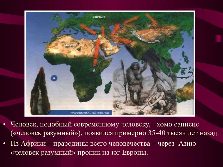 Человек, подобный современному человеку, - хомо сапиенс(«человек разумный»), появился примерно