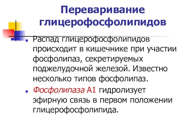 Переваривание глицерофосфолипидов Распад глицерофосфолипидов происходит в кишечнике при участии фосфолипаз,