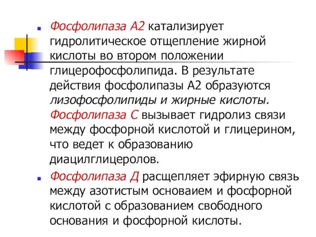 Фосфолипаза А2 катализирует гидролитическое отщепление жирной кислоты во втором положении