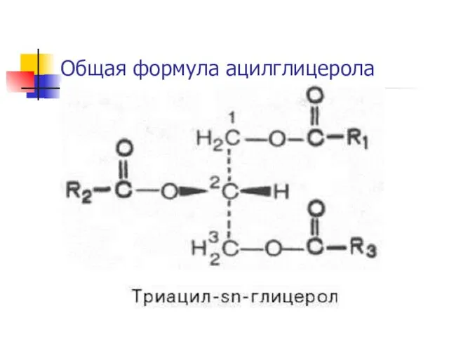 Общая формула ацилглицерола