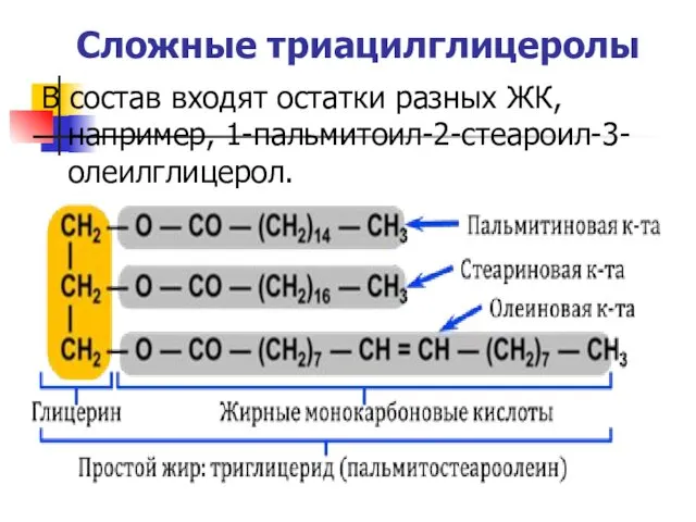 Сложные триацилглицеролы В состав входят остатки разных ЖК, например, 1-пальмитоил-2-стеароил-3-олеилглицерол.